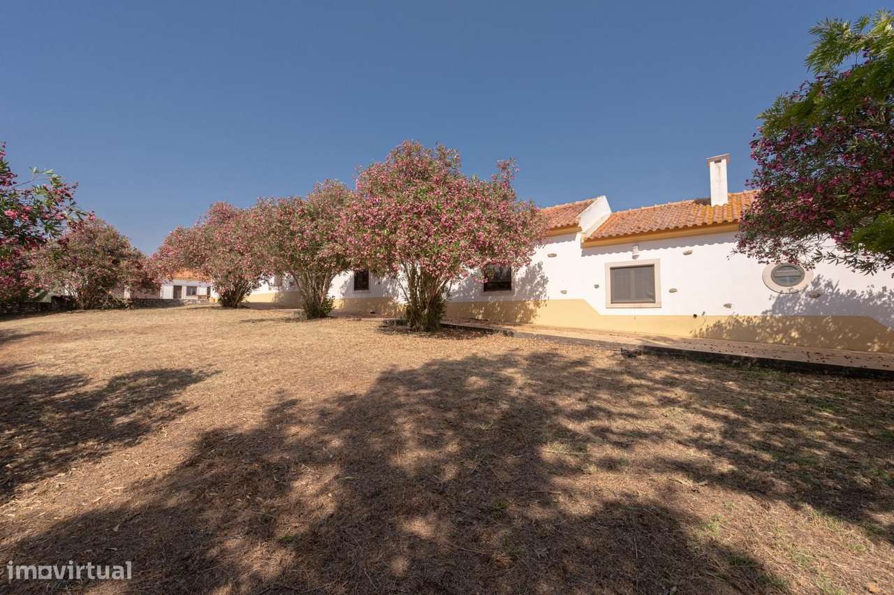 Herdade 4.0 ha, Álcacer do Sal, Alcacer do Sal-29