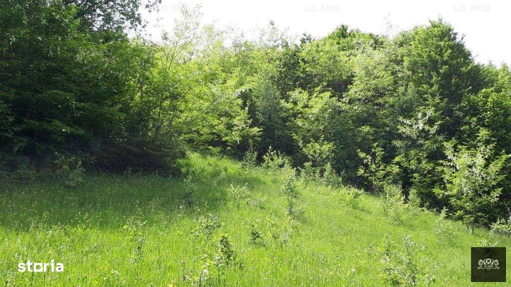 Vand teren in Albestii de Muscel faneata-pasune, partial impadurit - Imagine principală: 2/10
