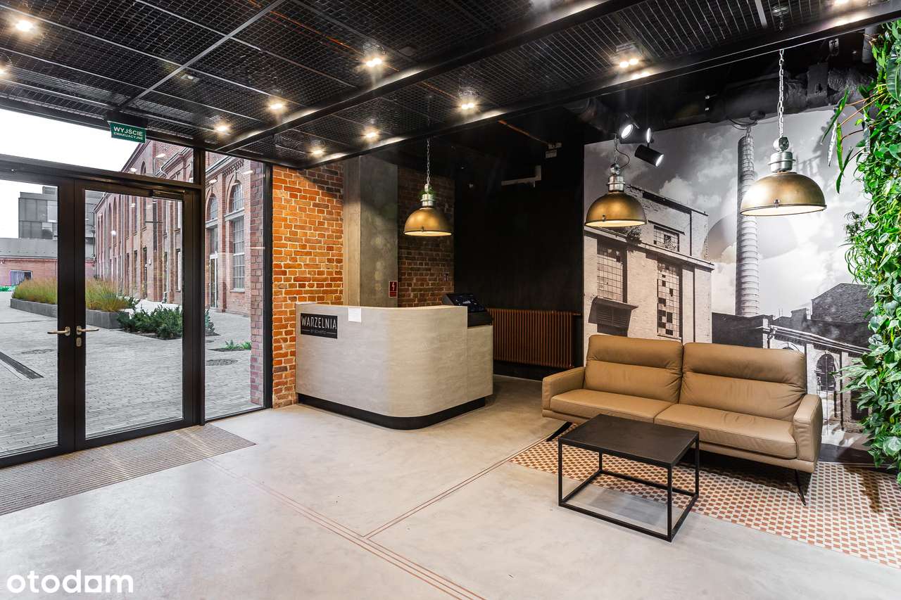 Bohema/Wysokie na ponad 3,5 metra/Ogródek/niepowtarzalne. - Pełny obrazek: 5/8