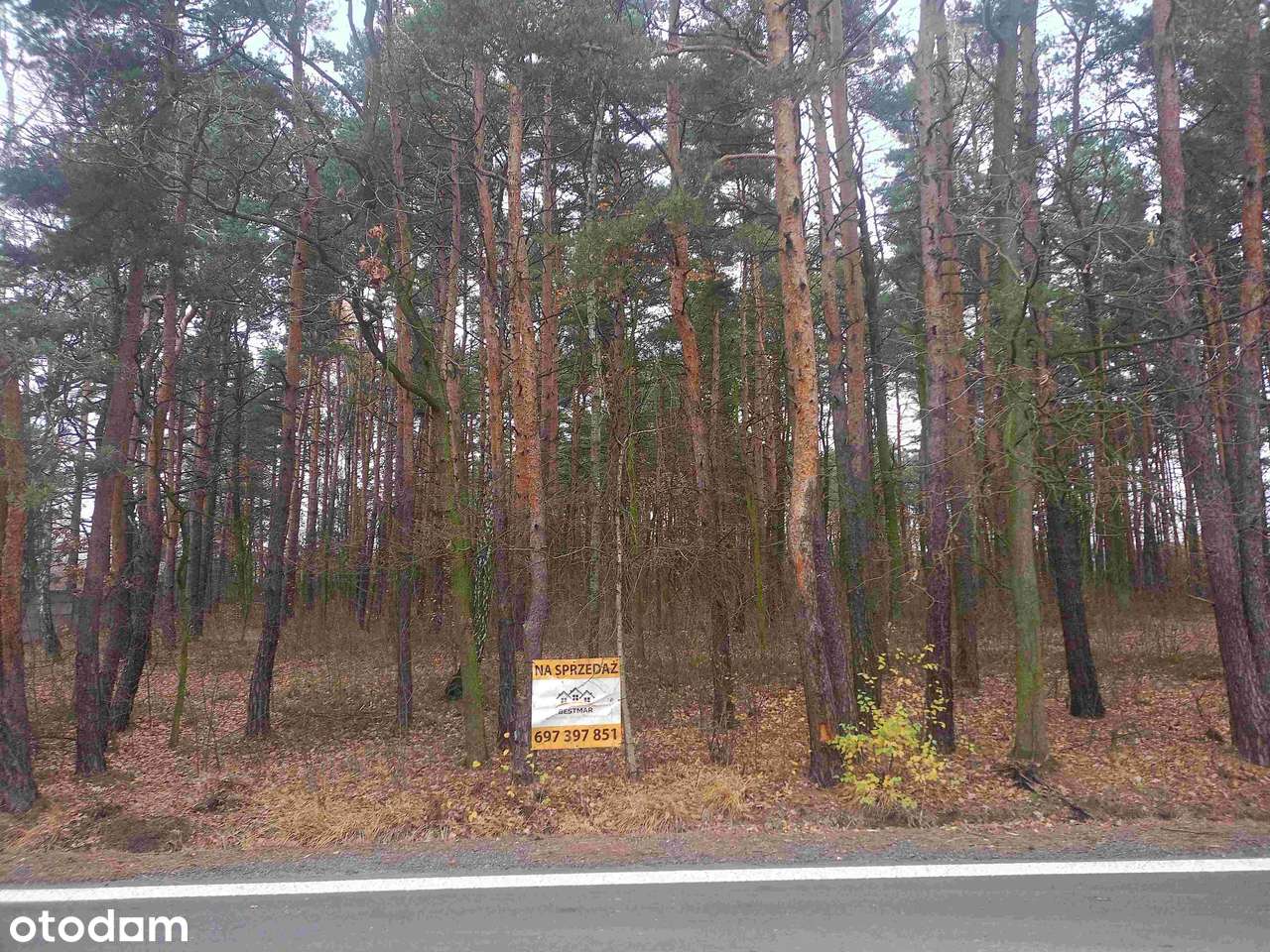 Działka usługowo-budowlana z przeznaczeniem na parking lub budowę domu-0