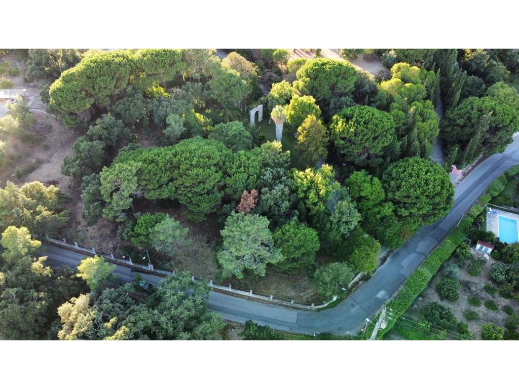 Lote para Construção em Miraventos - Vista Panorâmica sobre Setúbal... - Grande imagem: 2/28