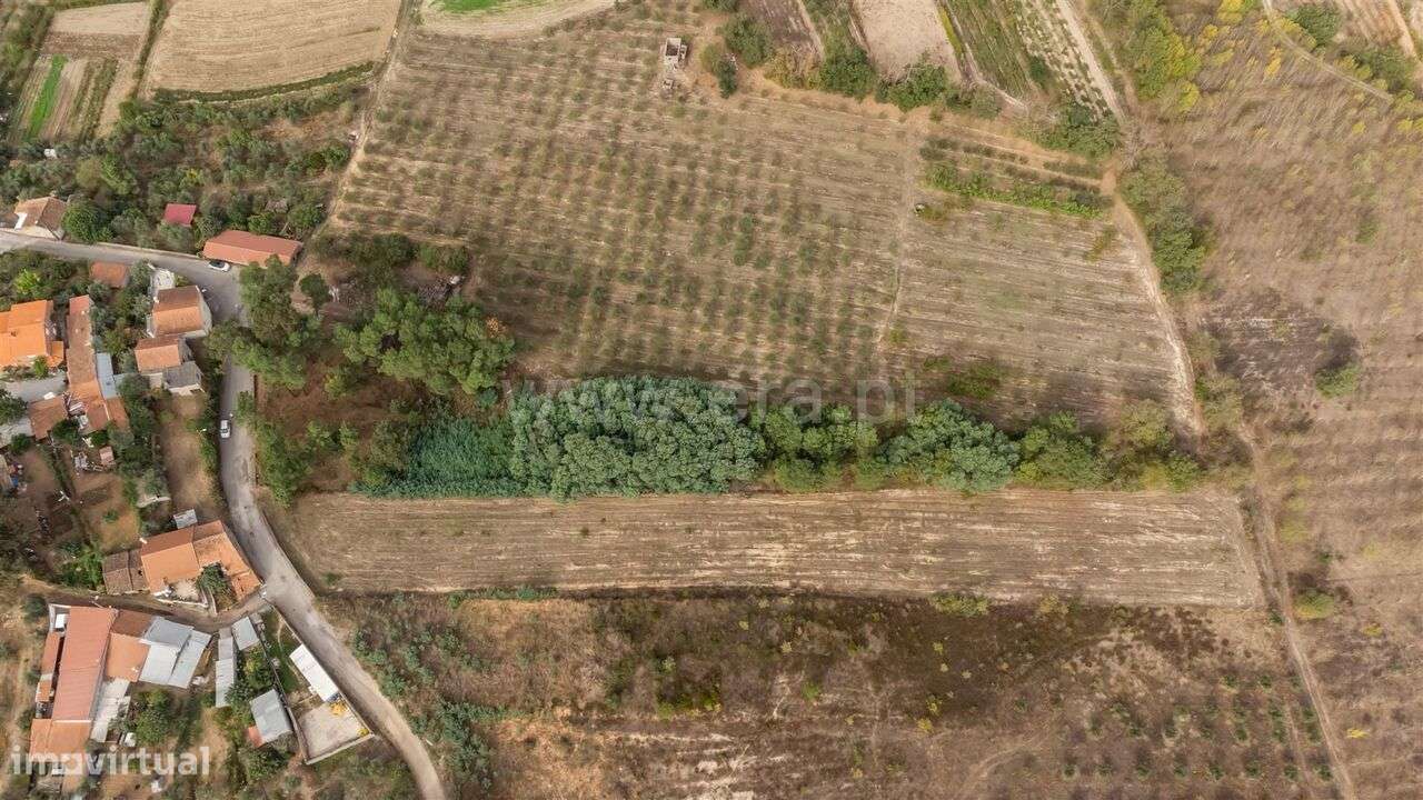 Terreno Rústico / Fundão, Valverde - Grande imagem: 5/12
