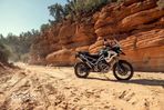 Triumph Tiger - 20