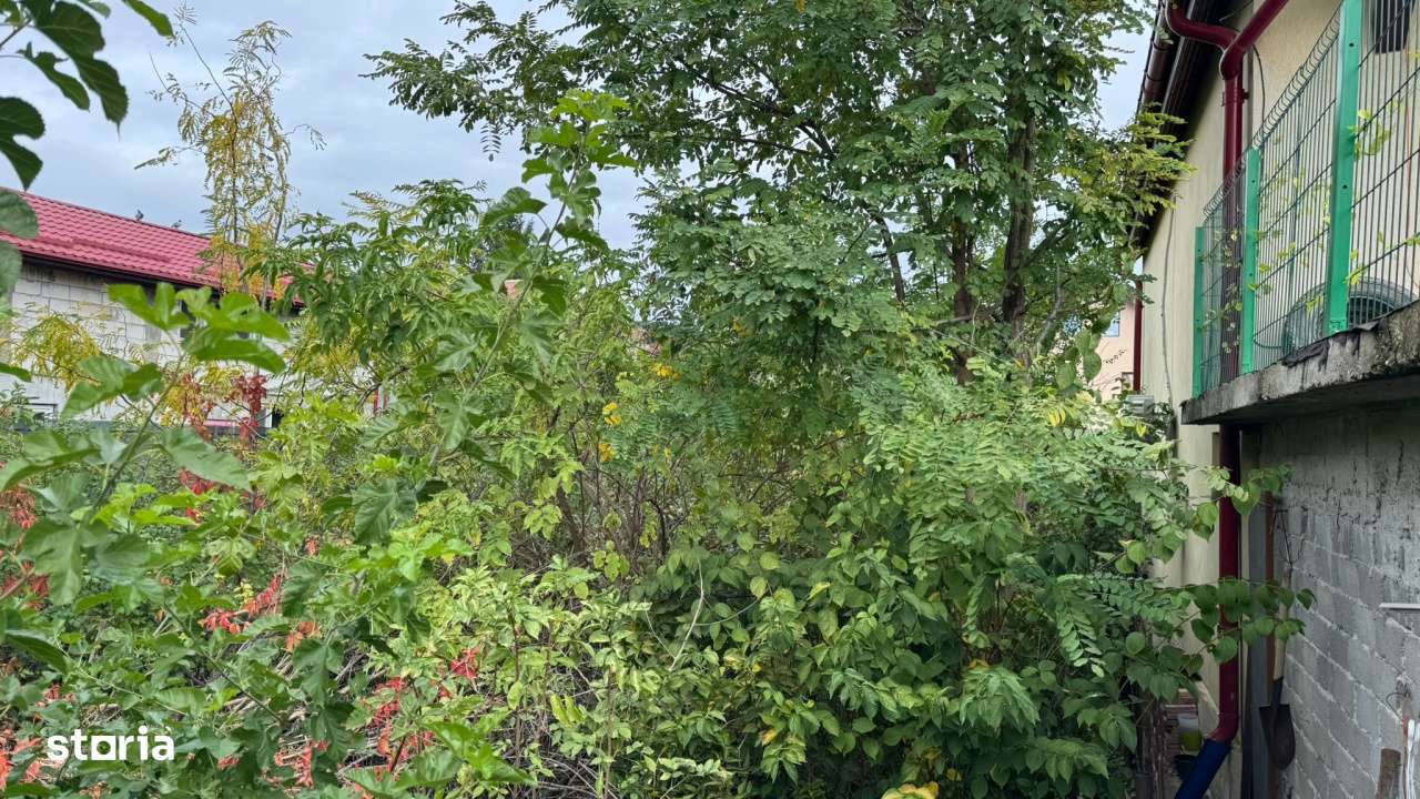 Teren intravilan Pipera I Vanzare - Imagine principală: 2/4