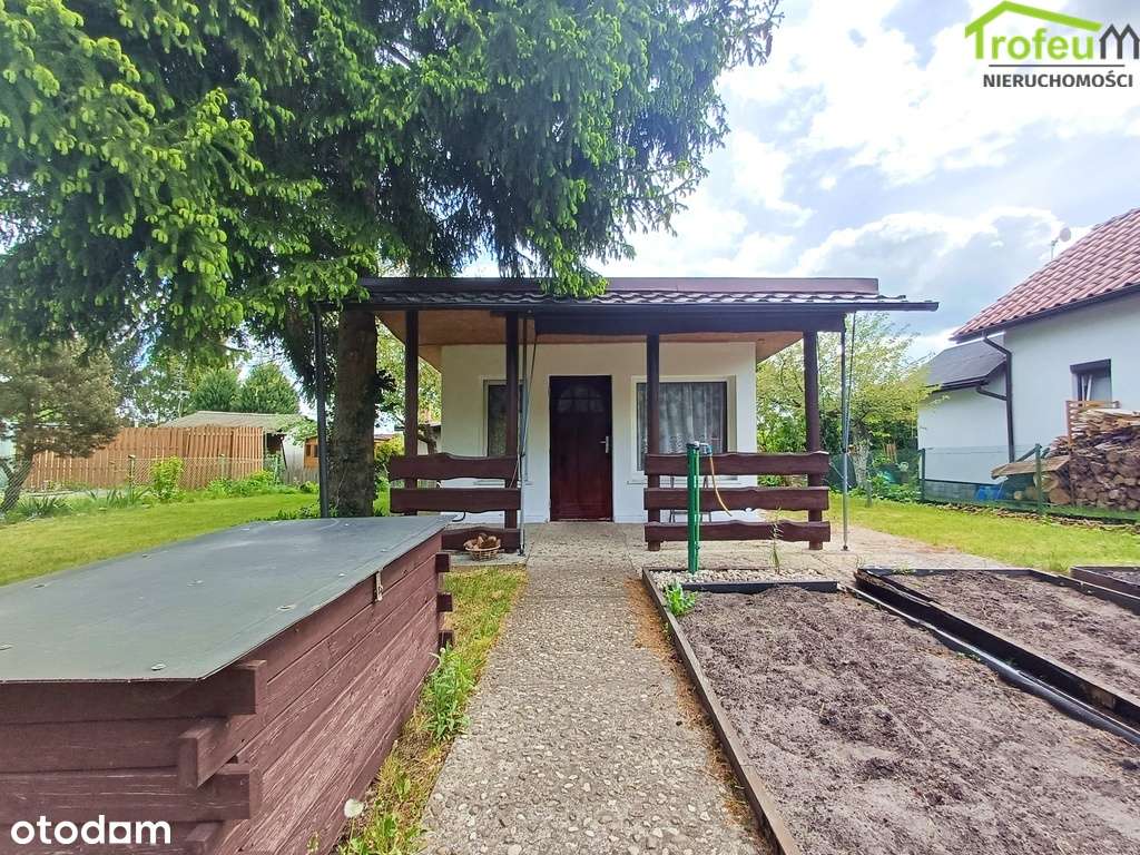 Piękna działka ROD Transportowiec - Pełny obrazek: 4/13