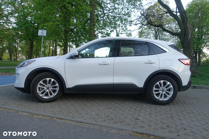 Ford Escape 1.5 EcoBoost AWD SE - 5