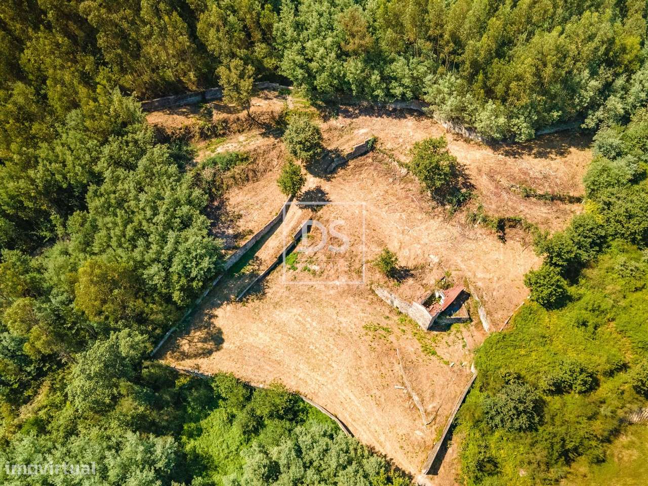 Quinta com Ruína para restaurar em Laurentim – Marco de Canaveses-5