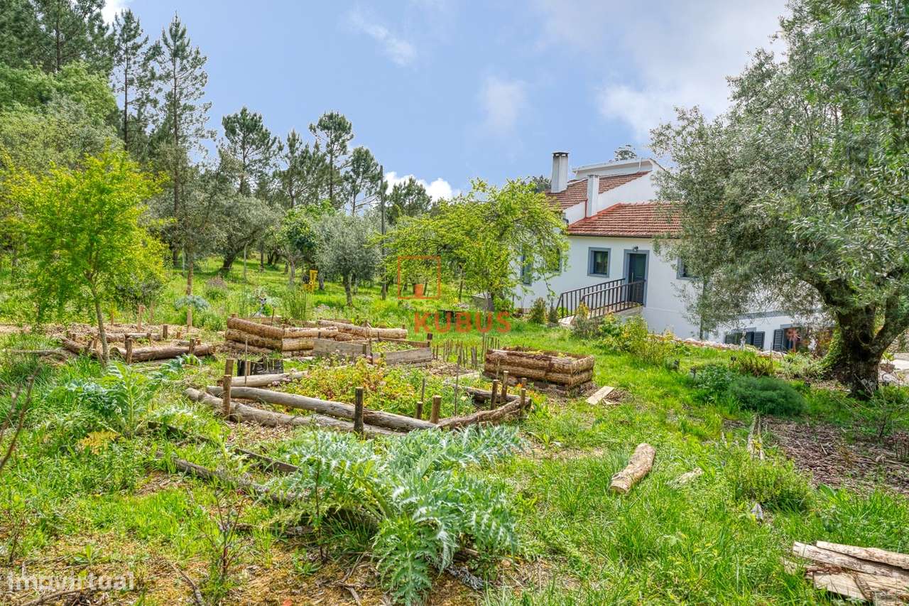 Quinta - Olival, Ourém-8