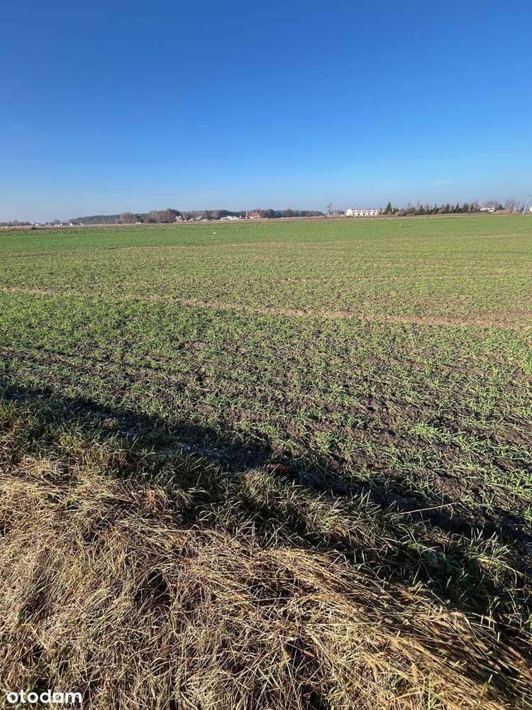 działki przeznaczone pod zabudowę jednorodzinną - Pełny obrazek: 4/7