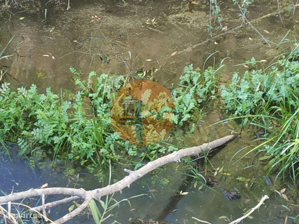TERRENO COM RUINA - 4.960 M2 - COM NORA - ÁGUA DA BARRAGEM NA JUNQU...-27