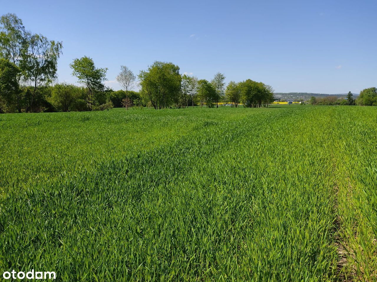 Działka usługowa - blisko lotniska w Balicach