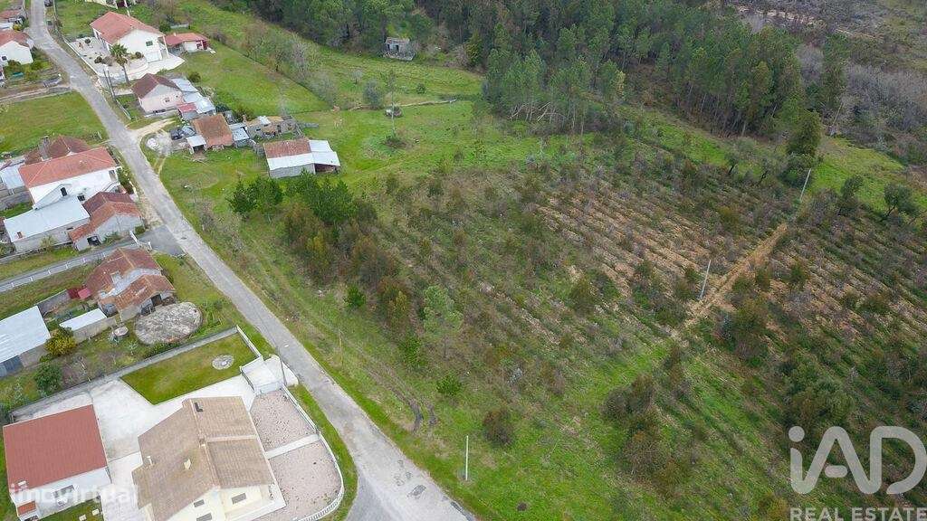 Terreno Agrícola em Soure de 12000,00 m2 - Grande imagem: 2/15