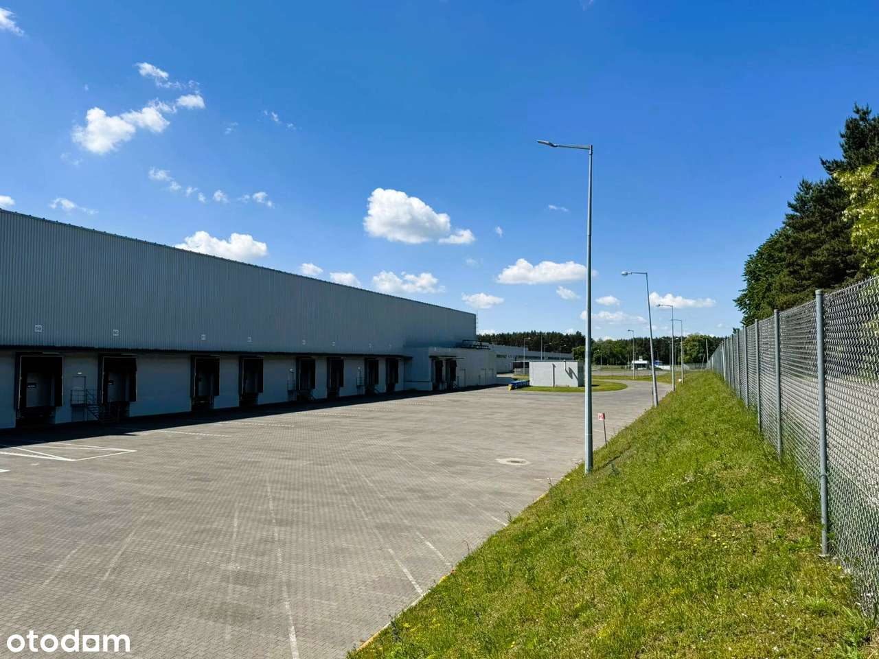 Hala magazynowa |5000 m2| najtaniej w Poznaniu - Pełny obrazek: 5/14