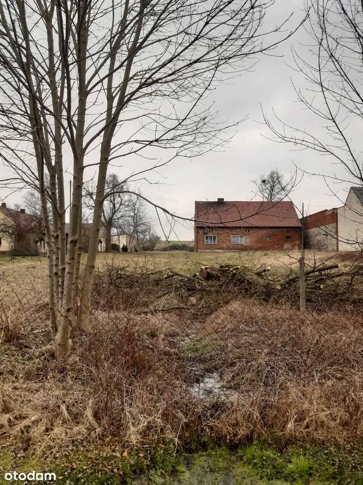 Dom do remontu z dużą działką (możliwość podziału)-2