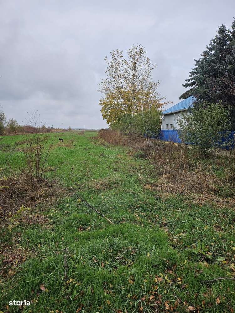 Butimanu Jud. Dambovita, teren intravilan si extravilan-4