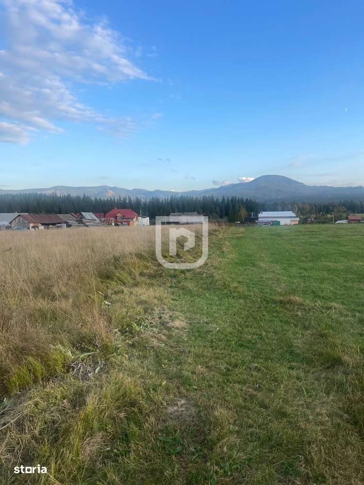 Teren intravilan  – Poiana Stampei-1