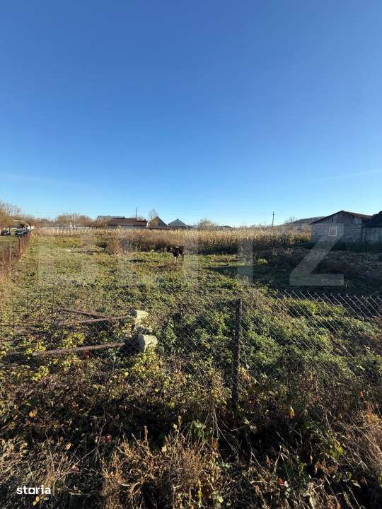 Casa batraneasca, 50 mp si teren intravilan 4900 mp, Udesti - Imagine principală: 5/8