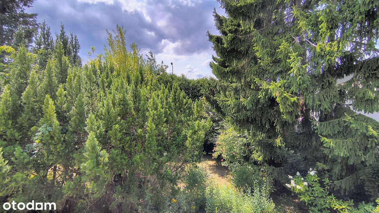 Dom wolnostojący z dużym potencjałem dla rodziny lub pod inwestycję-11