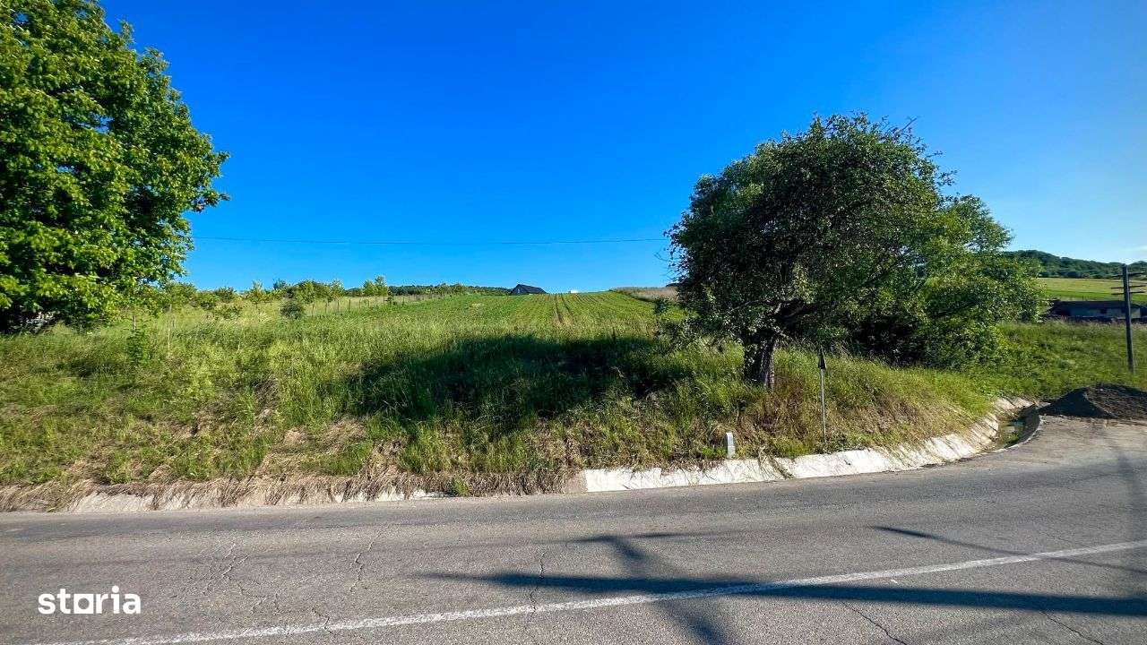 Vand teren intravilan in Sanisor cu suprafata de 4946 mp - Imagine principală: 4/6