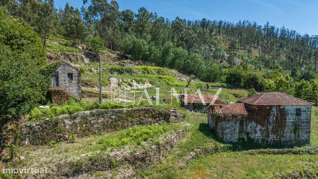 Quinta com Elevado Potencial em Vila Meã – Amarante-21