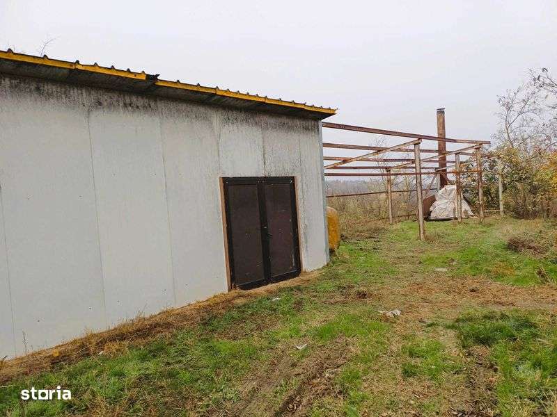 Vand casa + teren 5300mp intravilan si 7300mp extravilan - Imagine principală: 4/6