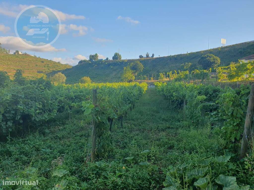 Quintinha à venda- Arco de Baúlhe-49