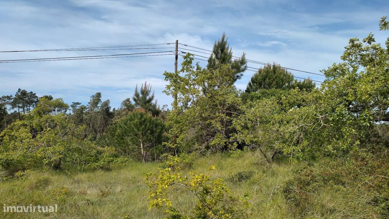 Terreno  Venda em Maiorca,Figueira da Foz - Grande imagem: 3/9