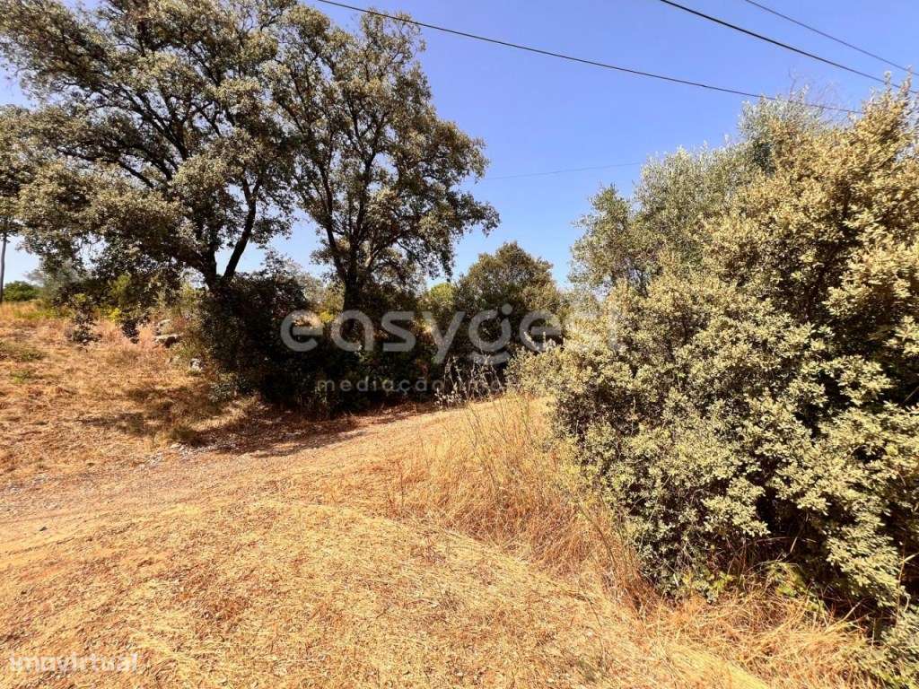 Terreno com 21030m2 situado em Carregueiros - Tomar - Grande imagem: 5/17