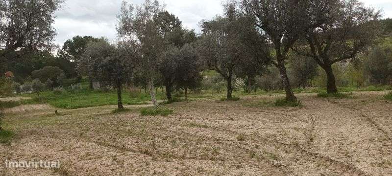 Terreno para venda - Grande imagem: 4/7