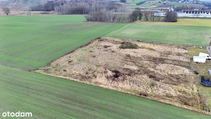 Działka budowlana 2285 m2 - Kozłowo! - Pełny obrazek: 4/7