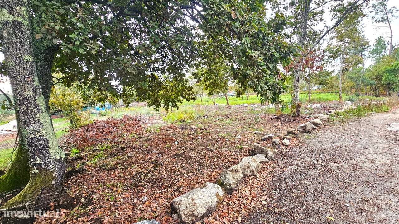 Terreno Rústico  Venda em Rio de Loba,Viseu - Grande imagem: 4/5