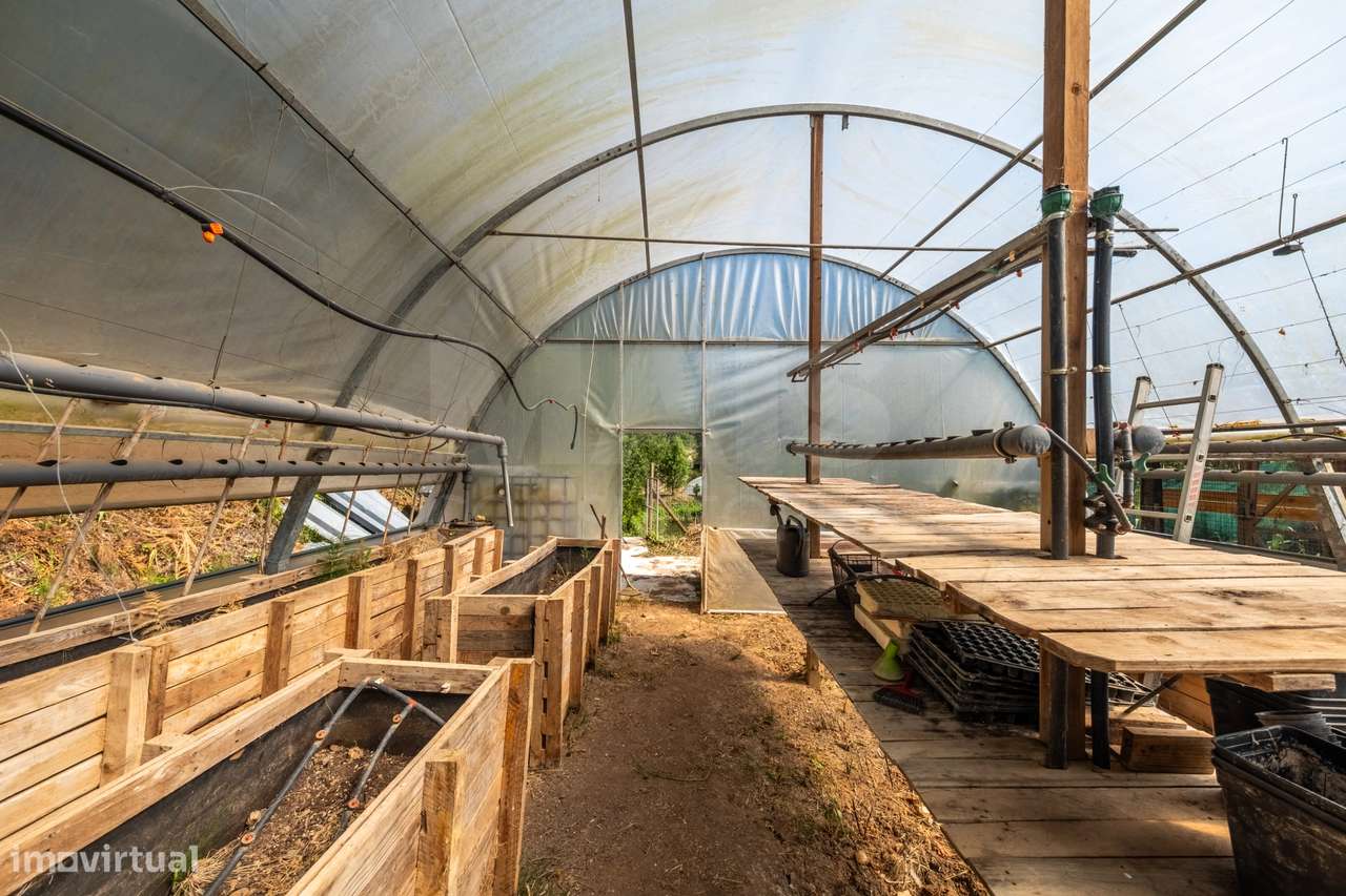 Terreno Agrícola na Fanadia | 16.100 m² de Potencial e Infraestrutu...-9