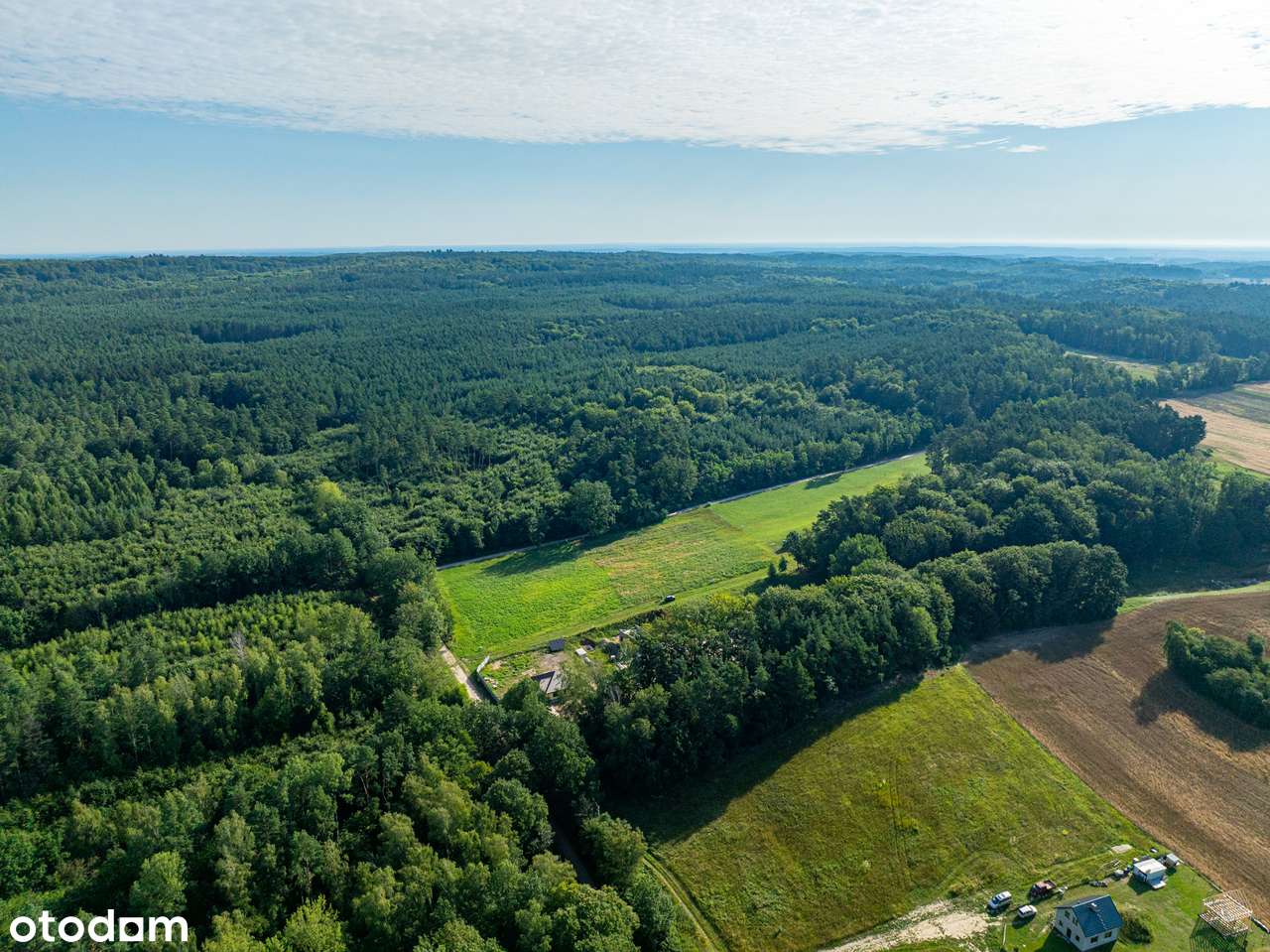 Łagówek działka przy lesie z wydanymi wz - Pełny obrazek: 4/11