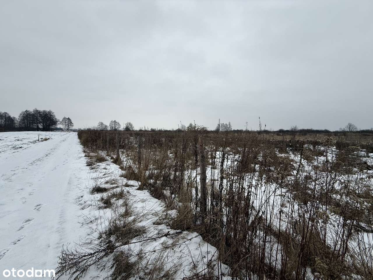 Brwinów działka budowlana - mieszkaniowa-5