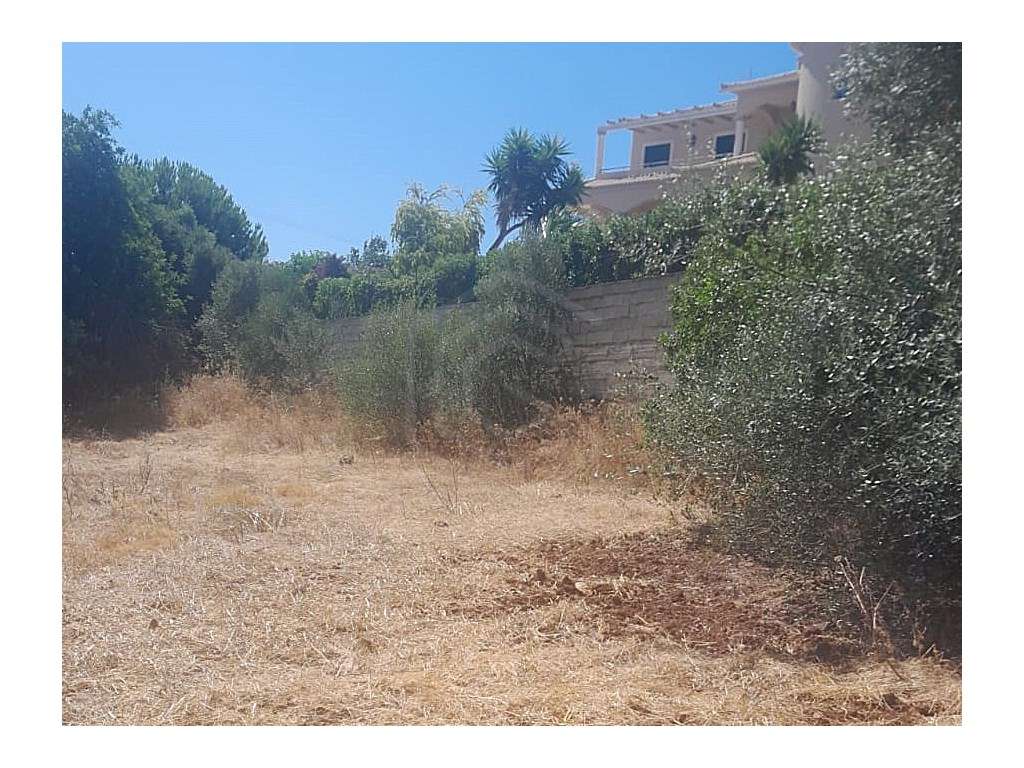 Lote de terreno junto à EN 125, na Patã de Cima, Algarve - Grande imagem: 4/16
