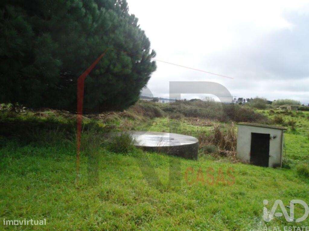 Terreno industrial em Quinta do Anjo - Grande imagem: 3/12