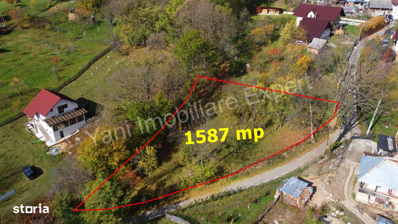 Teren de vânzare în comuna Arefu, județ Argeș. - Imagine principală: 2/20