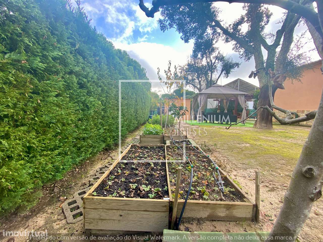 Moradia Térrea V4 com Piscina | Vila Nova de Santo Estêvão-17