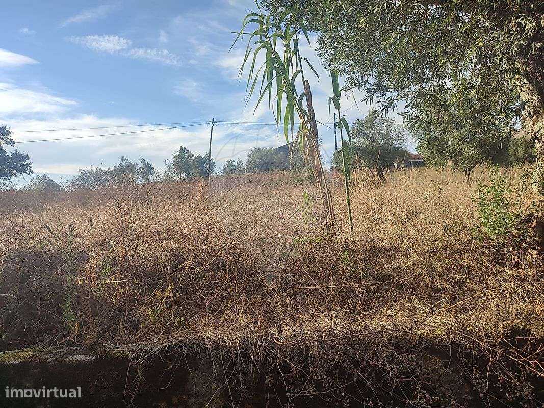 Terreno  para venda-8