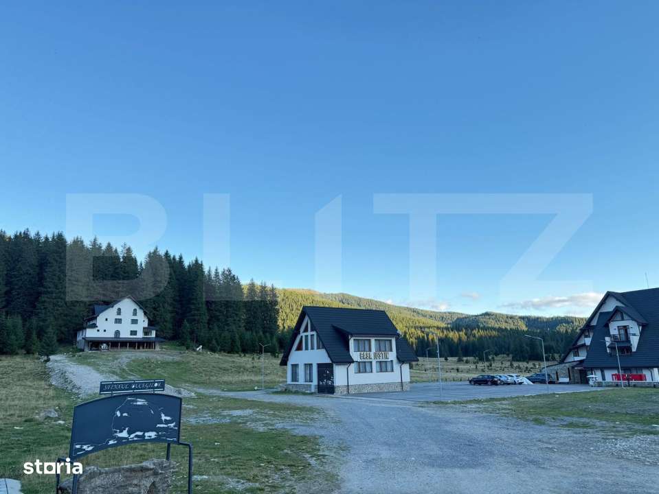 Teren intravilan, 5.500 mp, platoul Padina - Imagine principală: 5/6