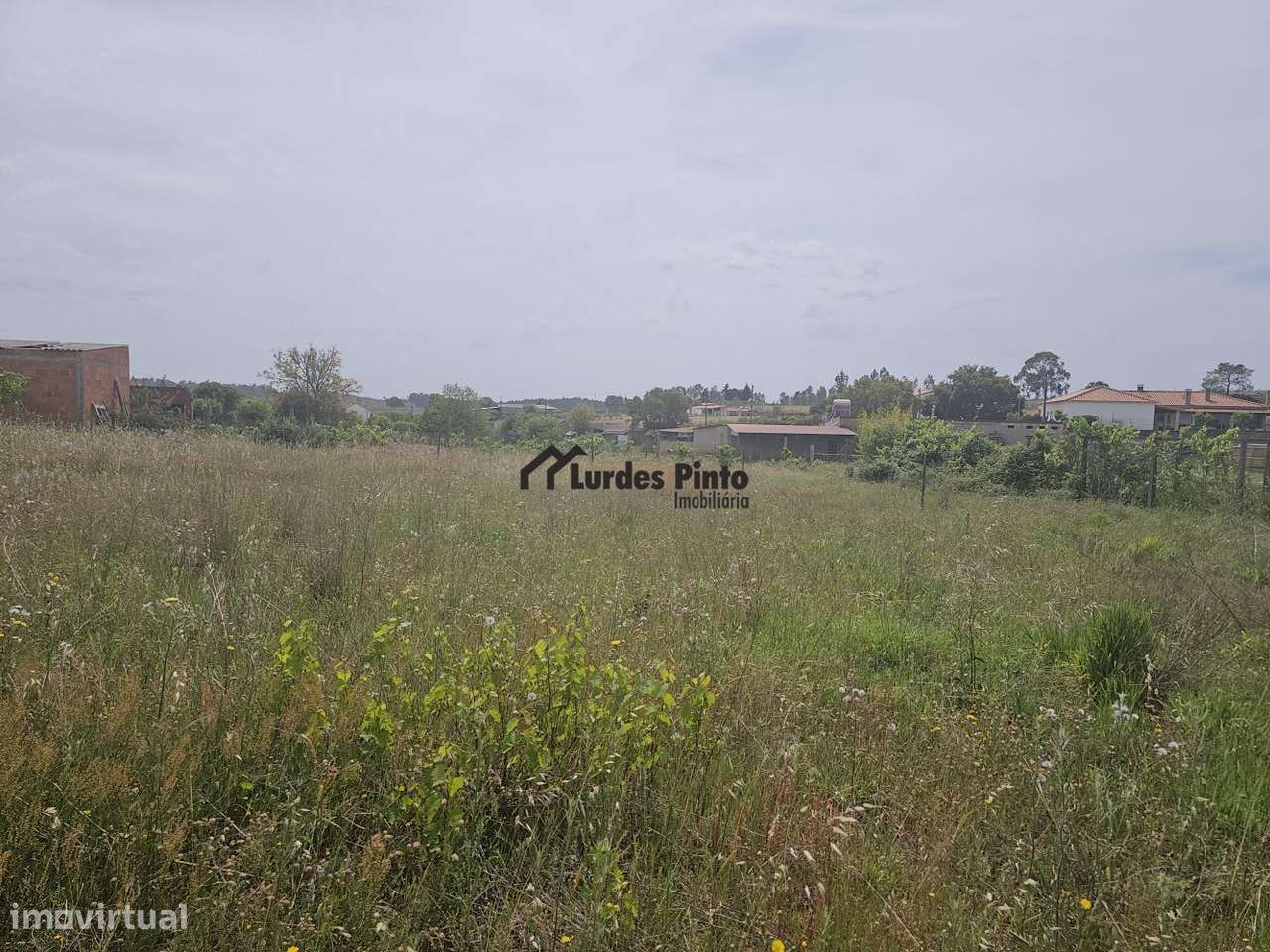 Quinta perto de Castelo Branco-29