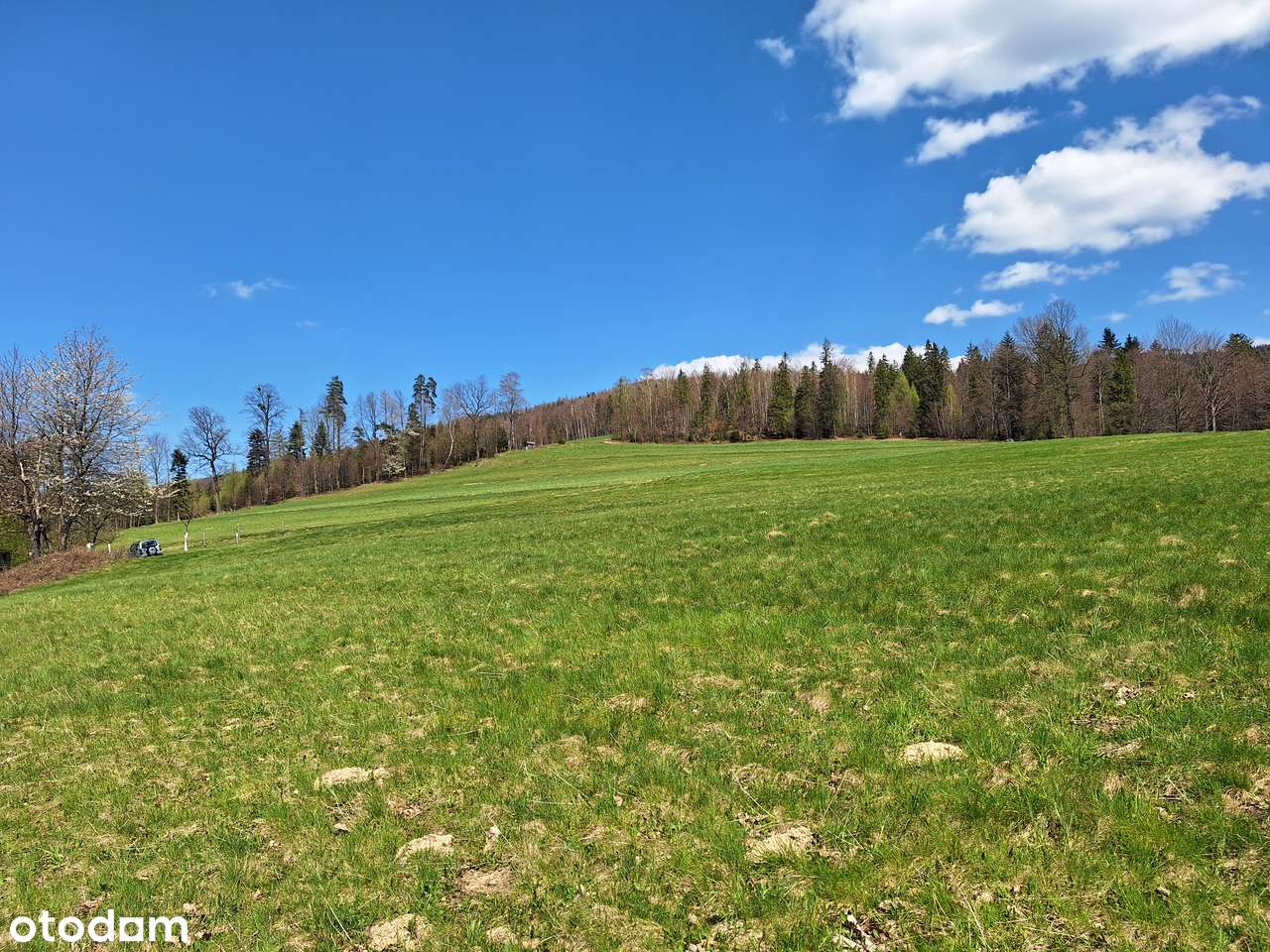 cisza, góry i las... - Pełny obrazek: 5/10