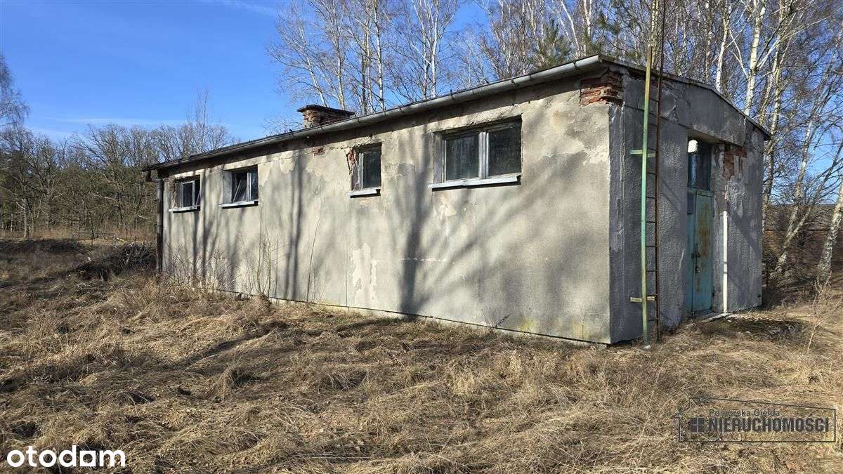 Działka budowlana blisko jeziora i lasu - Nobliny-18