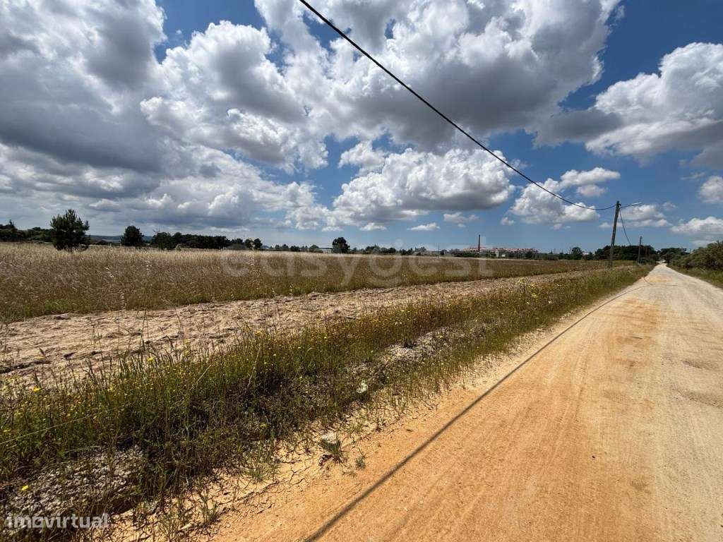Terreno misto com viabilidade de construção com 10hA - Grande imagem: 5/13