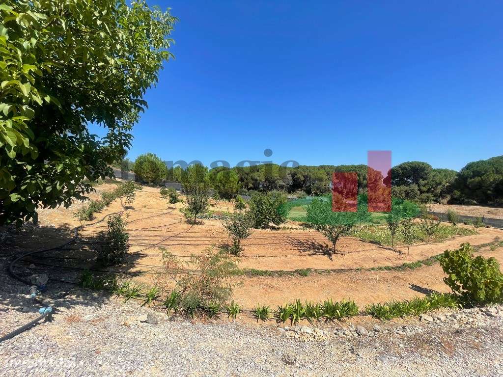 Terreno São João da Ribeira***RIOMAGIC***-25