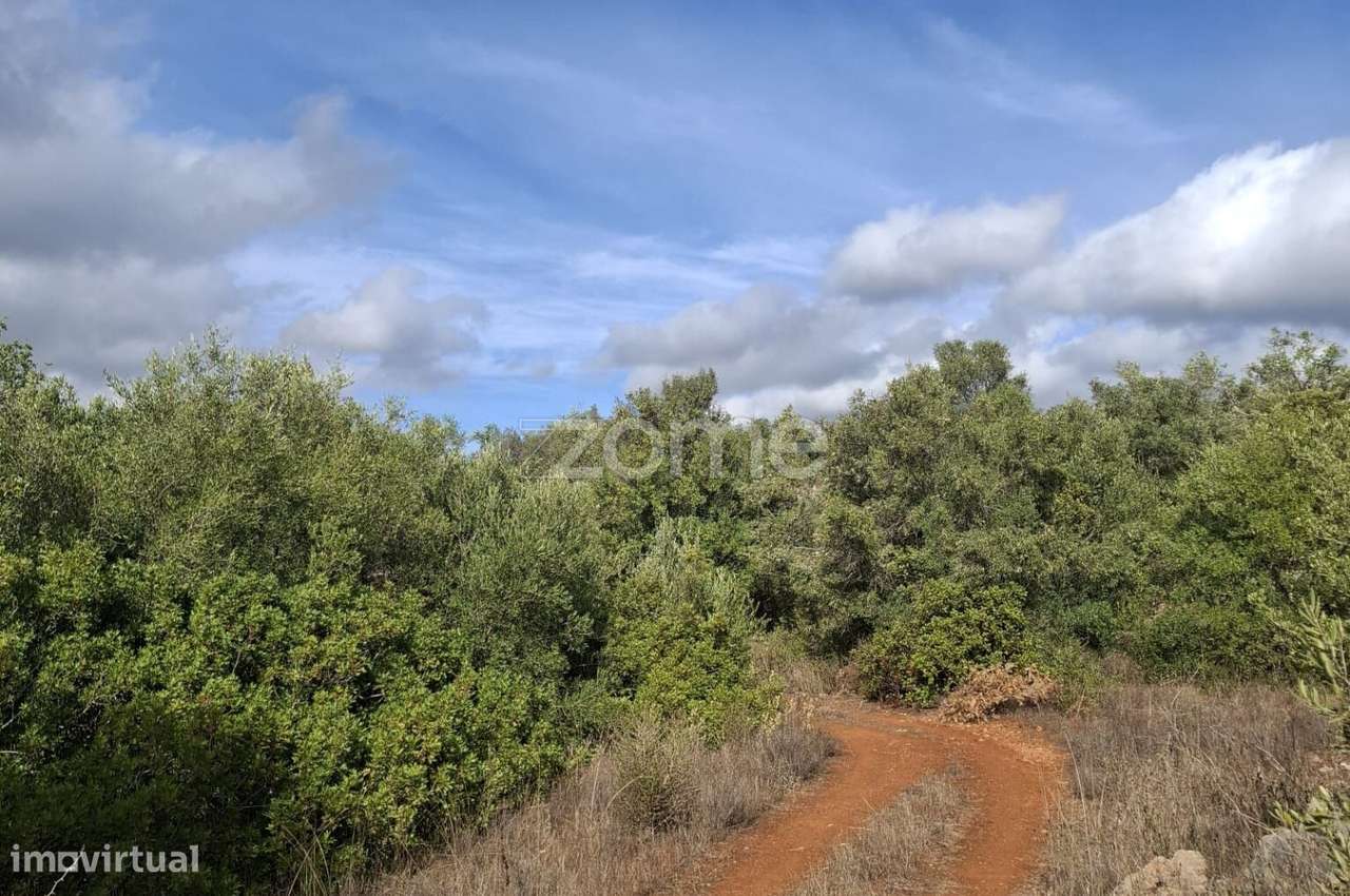 Terreno Rústico em Cerro Monte Brito com 11.460m2 - Grande imagem: 5/25
