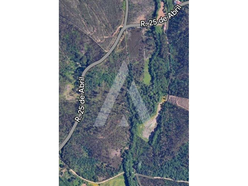 Terreno Rústico - Grande imagem: 5/5
