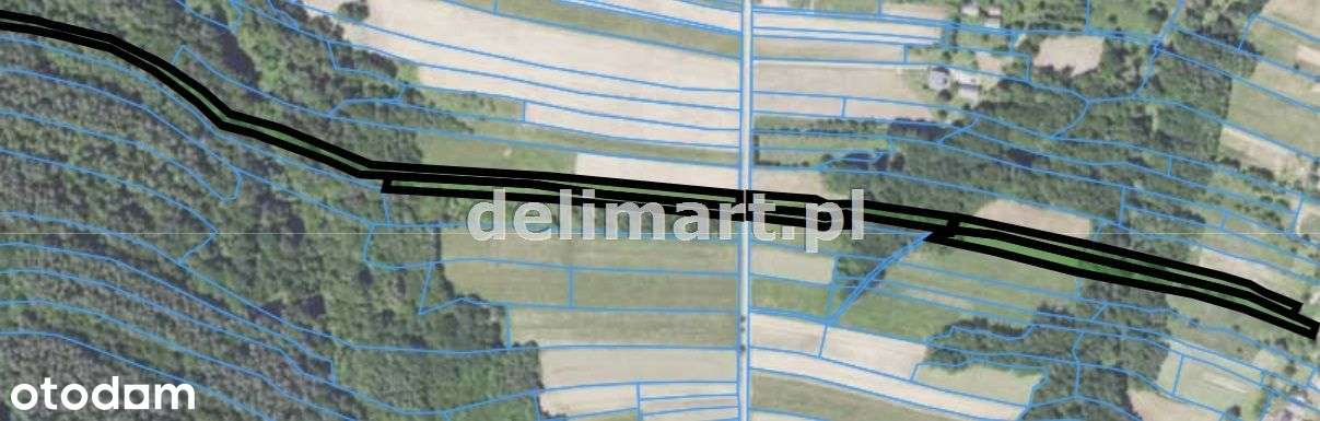 Dom do remotnu i 3ha gruntu - Łodzina-15