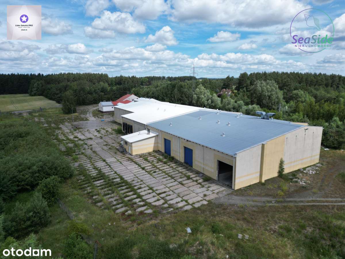Obiekt przemysłowy 5 km od autostrady A1 !!! - Pełny obrazek: 4/9