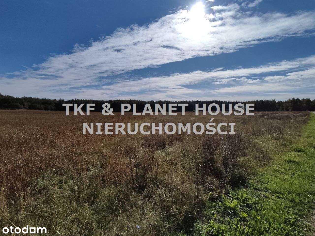 Działka 5000 m2 na sprzedaż Kłonna gm. Odrzywół - Pełny obrazek: 5/8